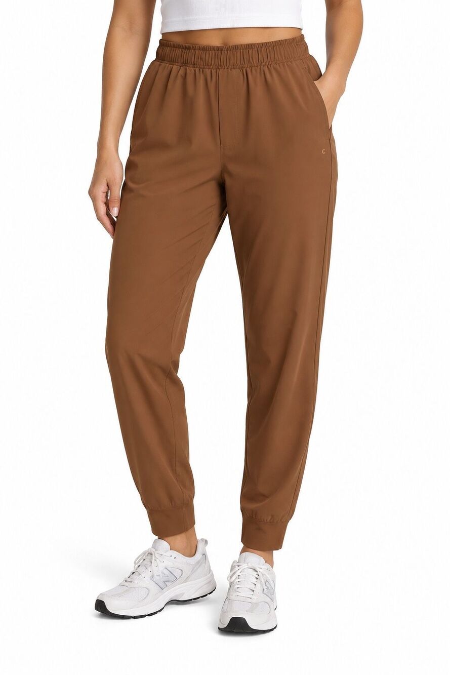 DSG Women’s Brown Pull-On Tapered Jogger Pants Elastic Waist Size Large